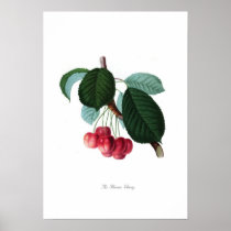 The Florence cherry Posters