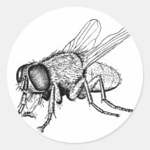 The Fly Round Sticker
