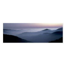 THE FOG BUSINESS CARD TEMPLATES