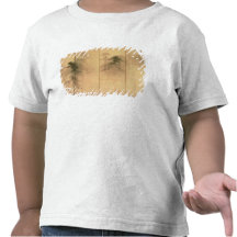 The forest of pines tee shirt