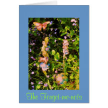 The Forget-me-nots Cards