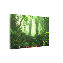The Forgotten Way (Stretched Canvas) Stretched Canvas Print