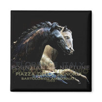 The Fountain of Neptune -Sea-horses Refrigerator Magnets