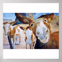 The Friendly Donkeys Poster