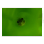 The Frog Greeting Card
