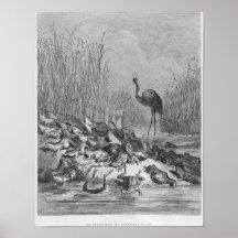 The frogs asking for a king, poster