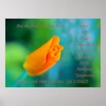 The Fruit of the Spirit - Galatians 5:22&23 Poster