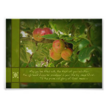 The Fruit of Your Salvation Apples 5x7 Photo