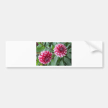 The Garden Flowers of Monet Bumper Stickers