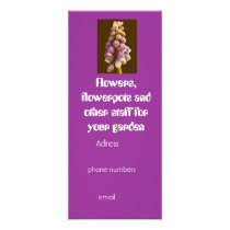The Garden of Eden rack card