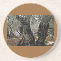 The  Garden of  Gethsemane Beverage Coaster