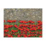 The Garden Wall Post Cards