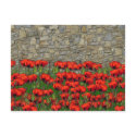 The Garden Wall postcards
