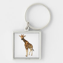 The Giraffe Square Keychain