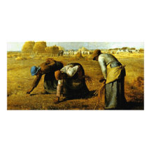 The Gleaners,  By Millet  (Best Quality) Picture Card