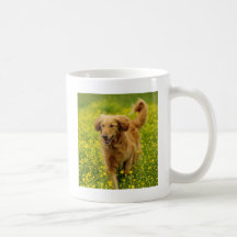 The Golden Coffee Mug