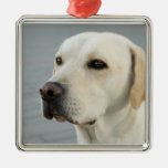 The Golden Labrador Retriever Ornaments