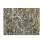 The Golden Seeds Post Cards