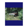 The Goldeneagle - 1964 dodge 330 Post Card
