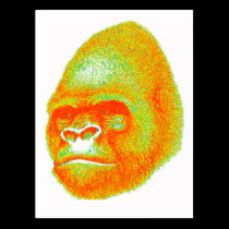THE GORILLA MOOD postcards