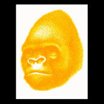 THE GORILLA SUN postcards