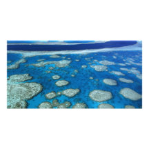 The Great Barrier Reef Photo Card