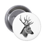 The great deer buck pinback button