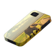 The Great Elephant Case-Mate iPhone 4 Cover
