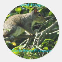 The Great Escape Stickers