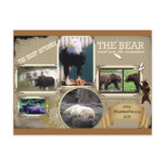 The Great Outdoors in Alaska Postcards