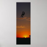 The Great Outdoors Posters