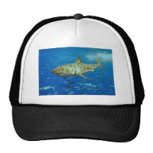The Great White Shark Carcharodon Carcharias Mesh Hats