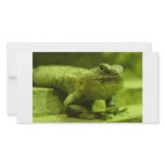 The Green Lizard Photo Card