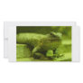 The Green Lizard Photo Card