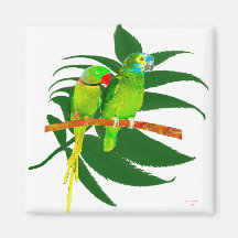 The Green Parrots Gifts Fridge Magnets