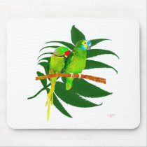 The Green Parrots Gifts