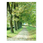 The Green Path Postcards