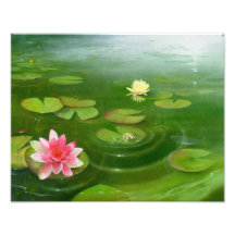 The Green Pond Photograph