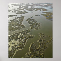 The Gulf Coast Wetlands Posters