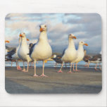 The Gull Gang Mousepad