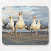 The Gull Gang Mousepad