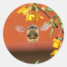 The Happy Bumble Bee Round Sticker