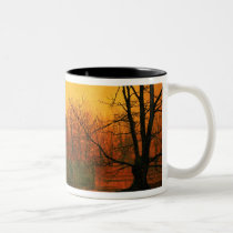 The Haunted House mugs