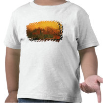 The Haunted House t-shirts