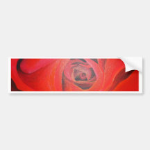 The Heart of the Rose Bumper Sticker
