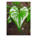 the heart of things... greeting card