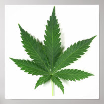 THE HEMP LEAF POSTERS
