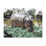 The Hippo And The Bird Postcard