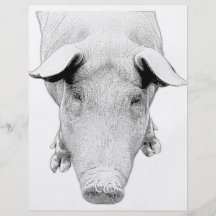 The Hog in Black and White Flyer Design