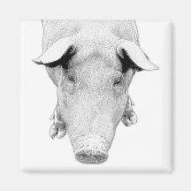 The Hog in Black and White Magnet